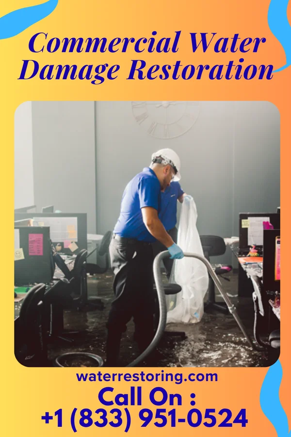 Commercial Water Damage Restoration in Carlock, IL