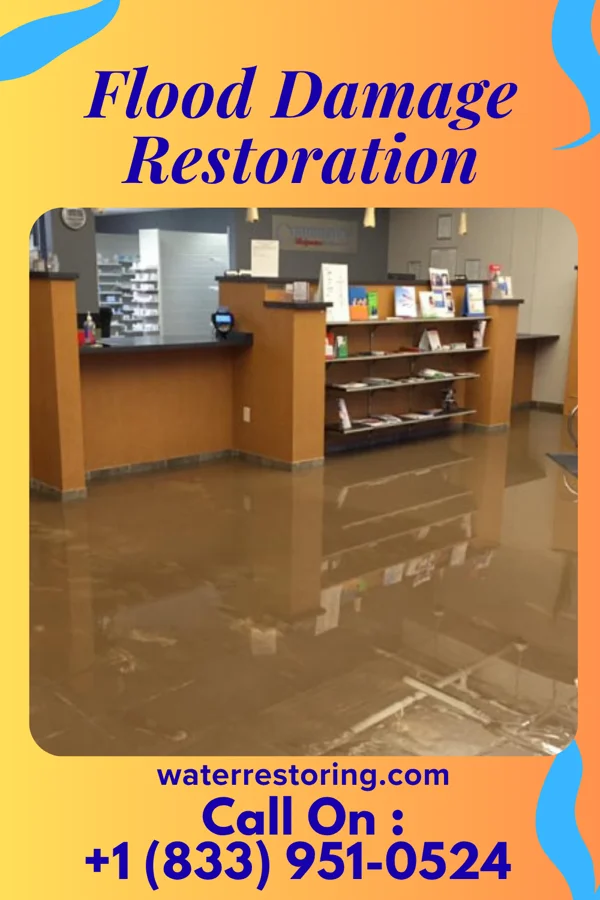 Flood Damage Restoration in Carlock, IL